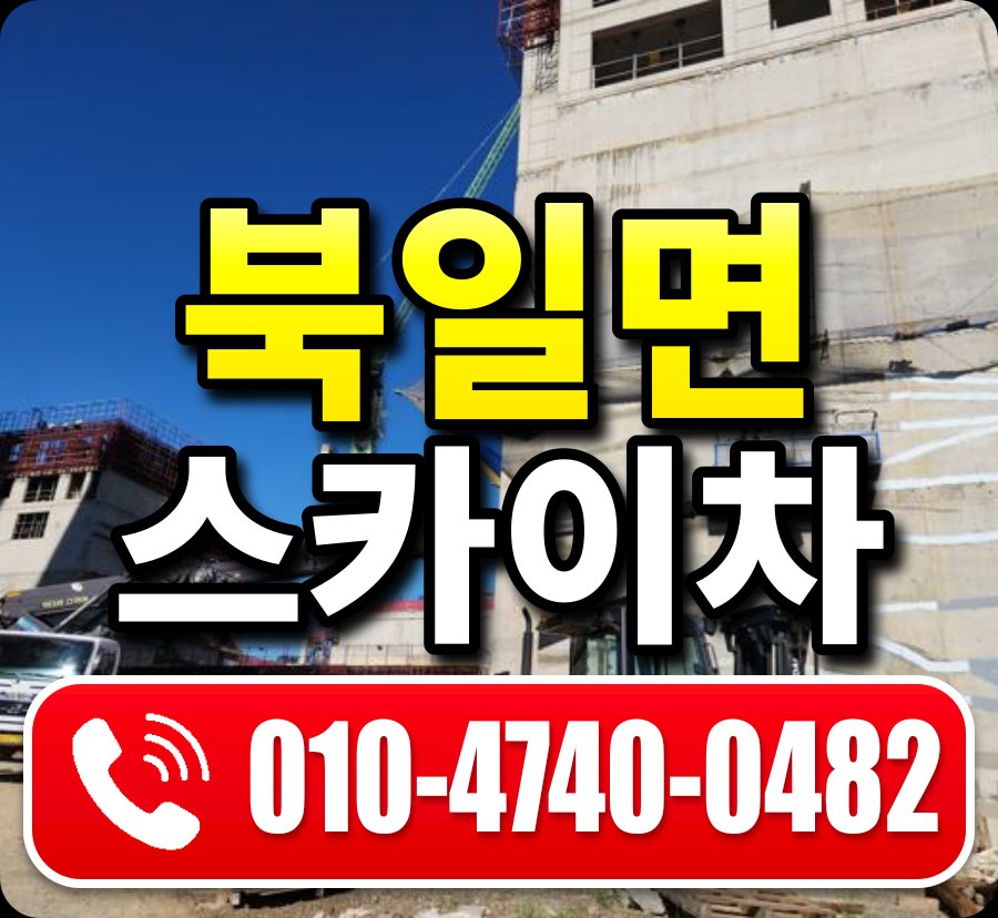 북일면 스카이차 010-4740-0482
