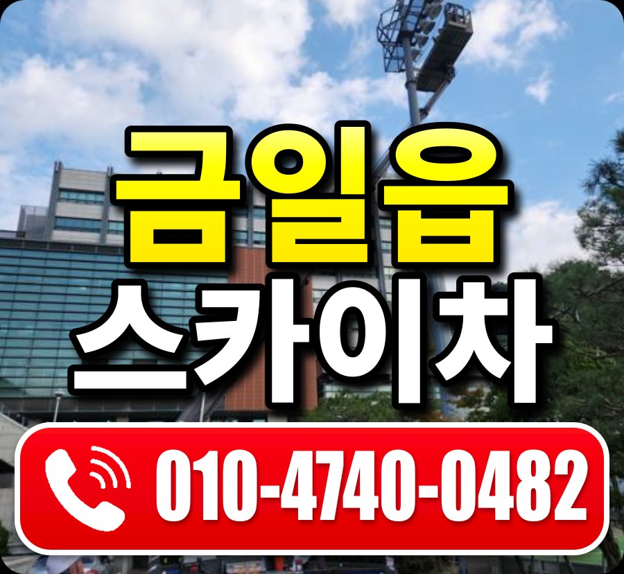 금일읍 스카이차 010-4740-0482