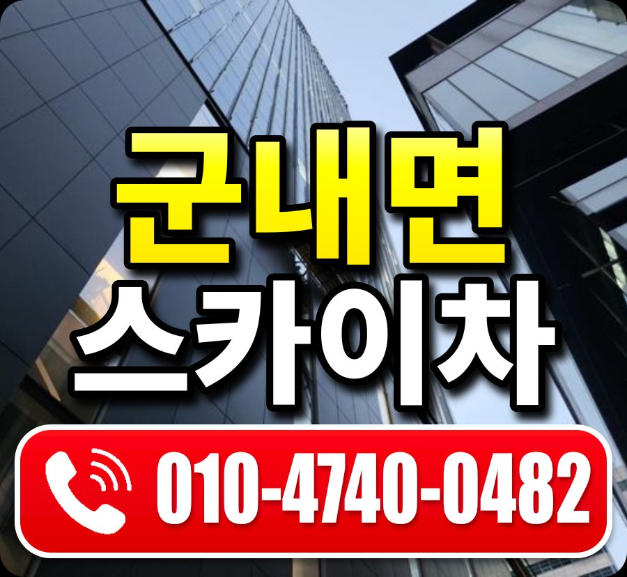 군내면 스카이차 010-4740-0482