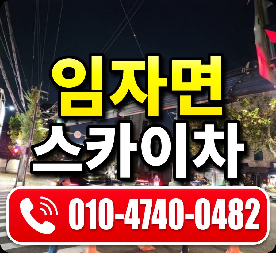 임자면 스카이차 010-4740-0482