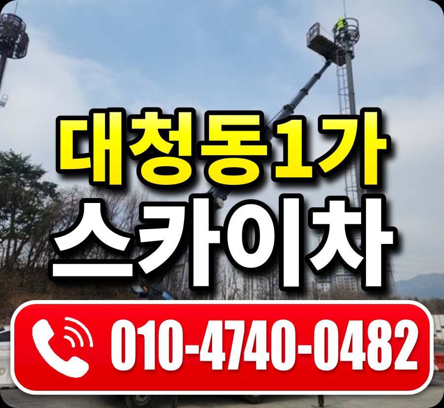 대청동1가 스카이차 010-4740-0482