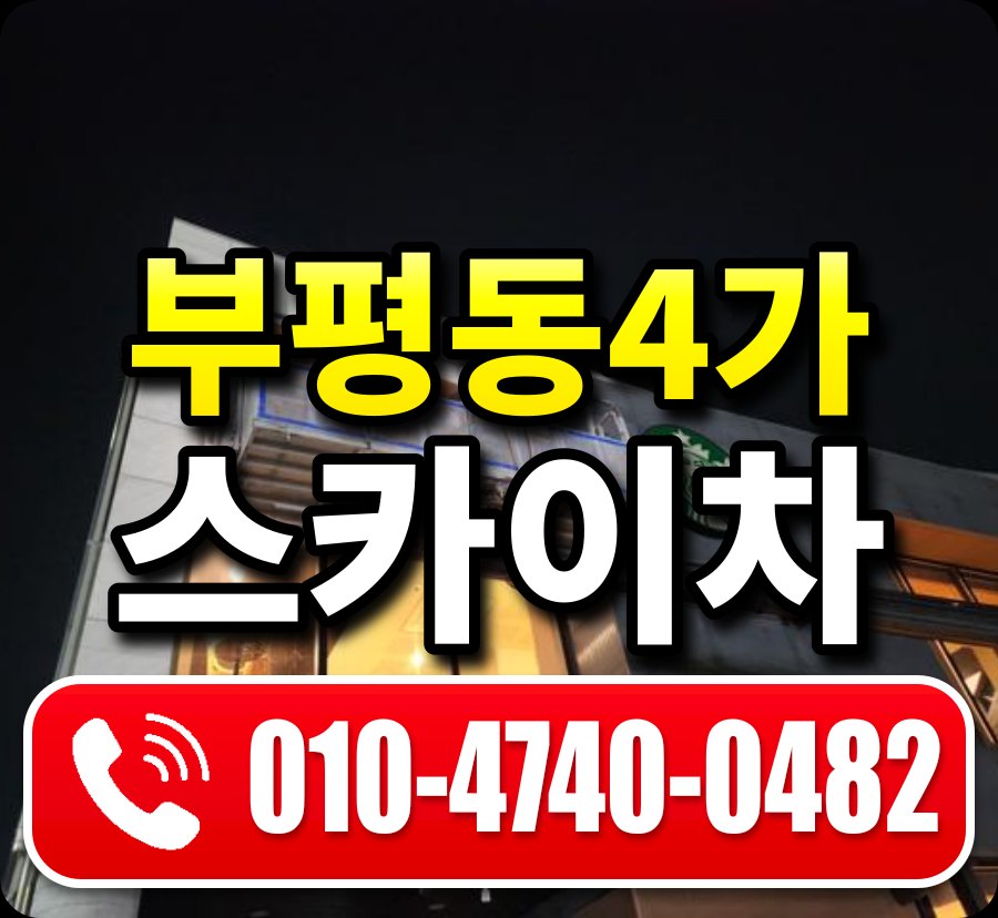 부평동4가 스카이차 010-4740-0482