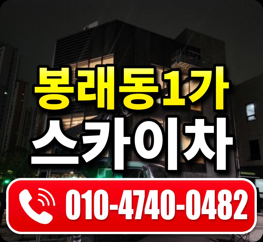봉래동1가 스카이차 010-4740-0482