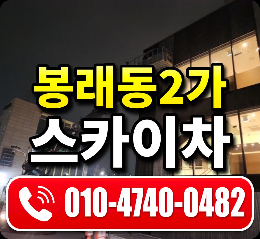 봉래동2가 스카이차 010-4740-0482