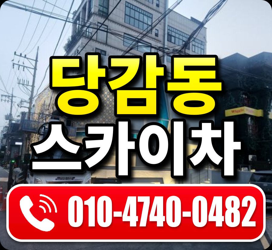 당감동 스카이차 010-4740-0482