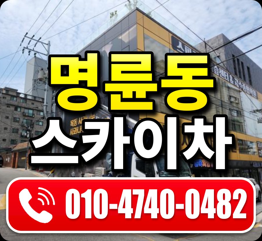 명륜동 스카이차 010-4740-0482