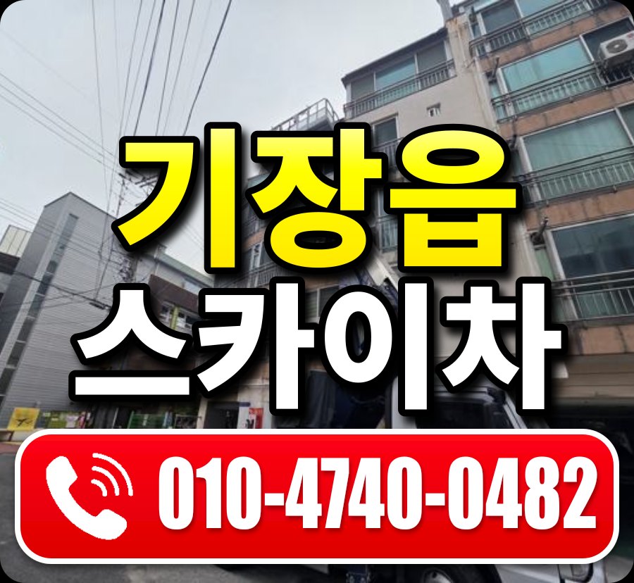 기장읍 스카이차 010-4740-0482