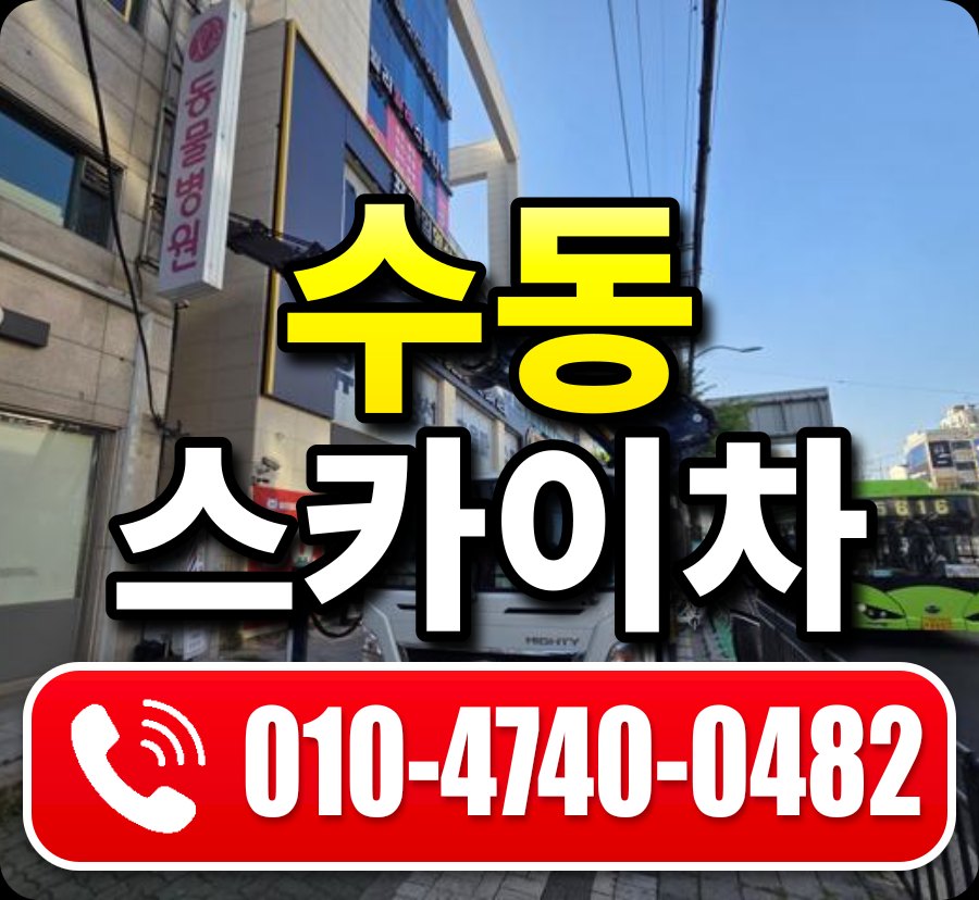 수동 스카이차 010-4740-0482