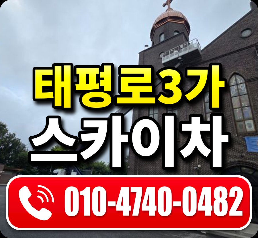 태평로3가 스카이차 010-4740-0482