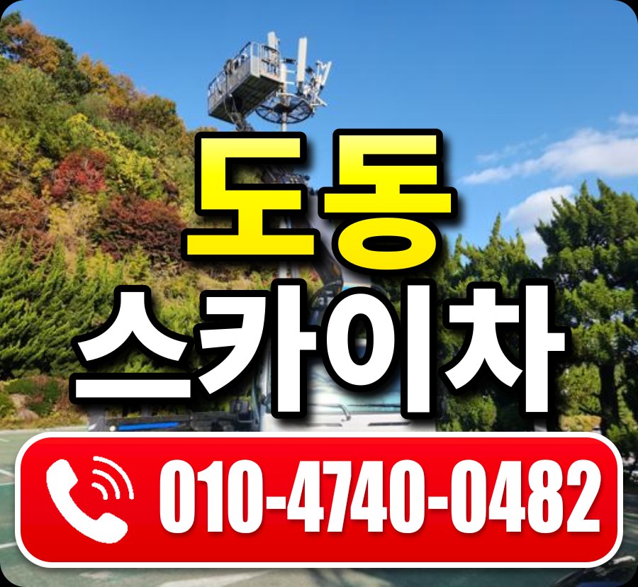 도동 스카이차 010-4740-0482