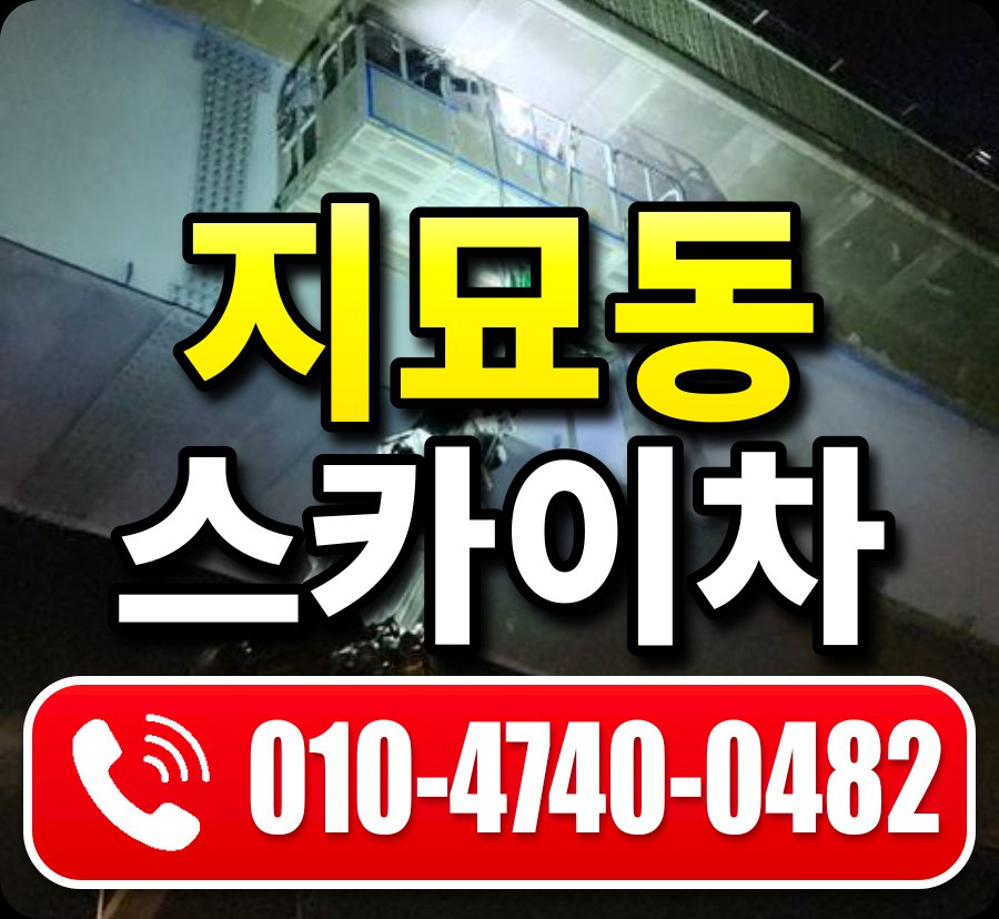지묘동 스카이차 010-4740-0482