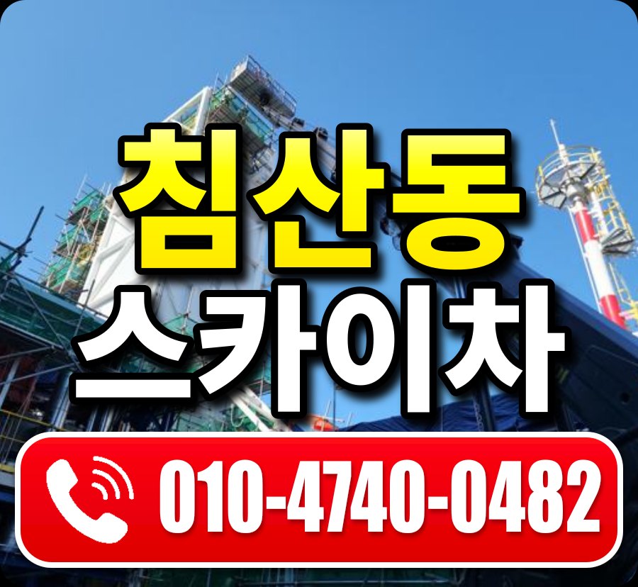 침산동 스카이차 010-4740-0482