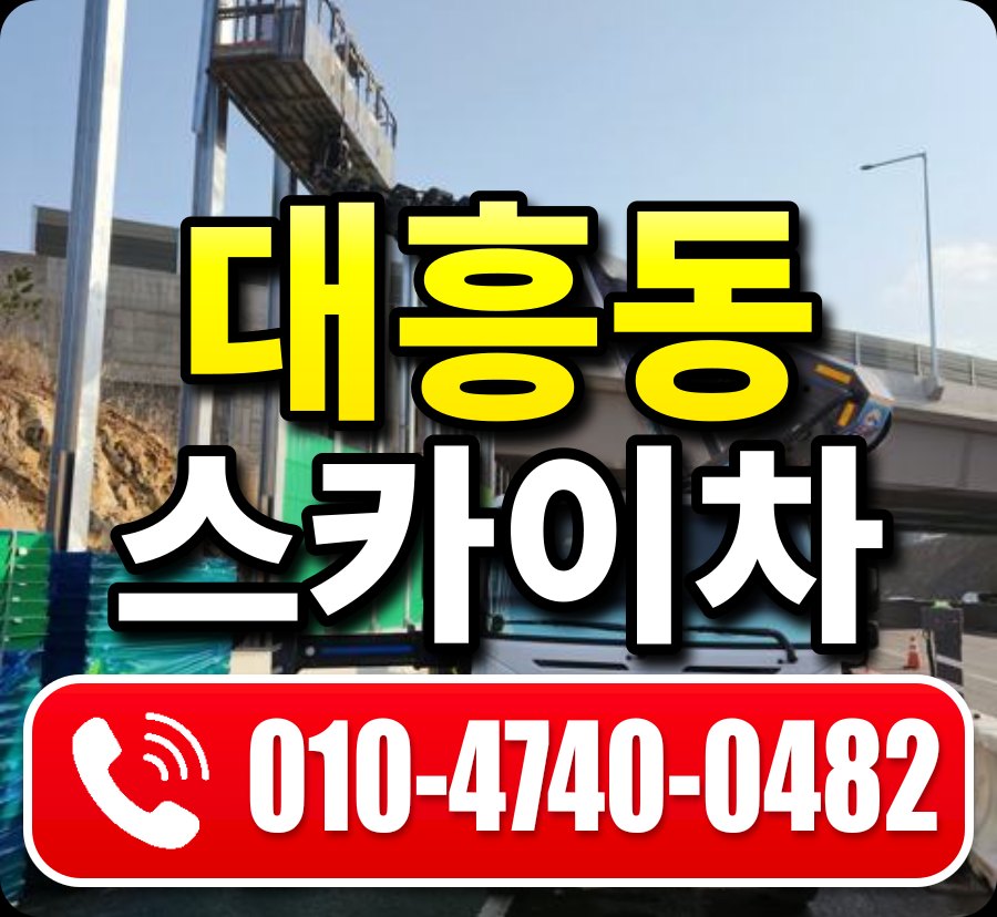 대흥동 스카이차 010-4740-0482