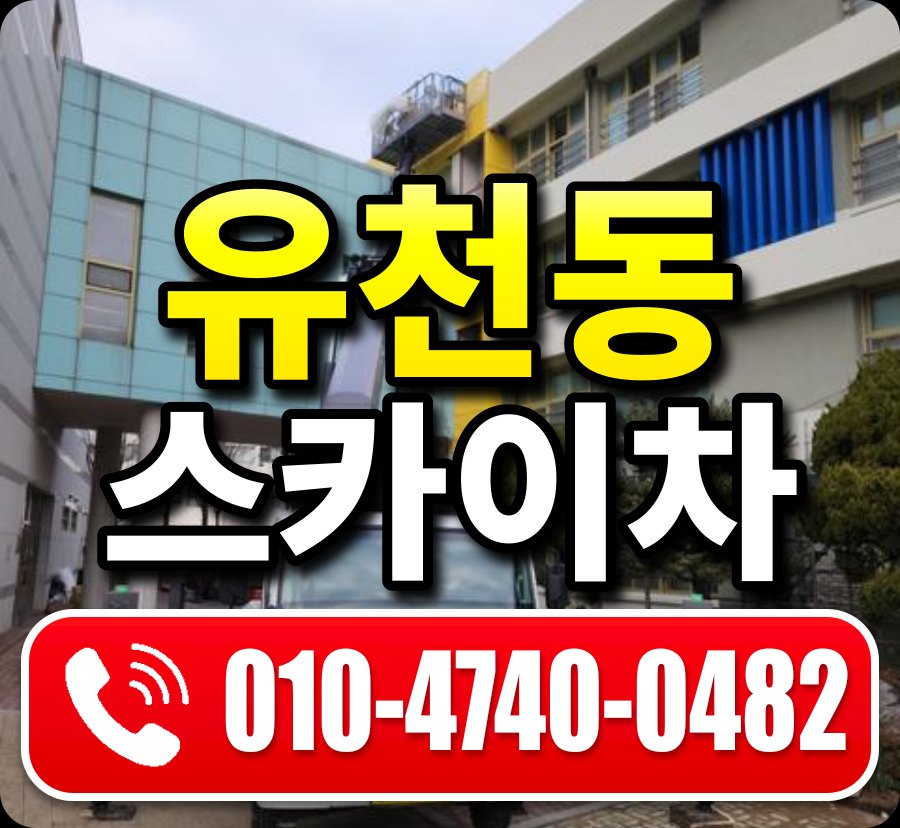 유천동 스카이차 010-4740-0482