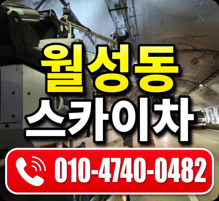 월성동 스카이차 010-4740-0482
