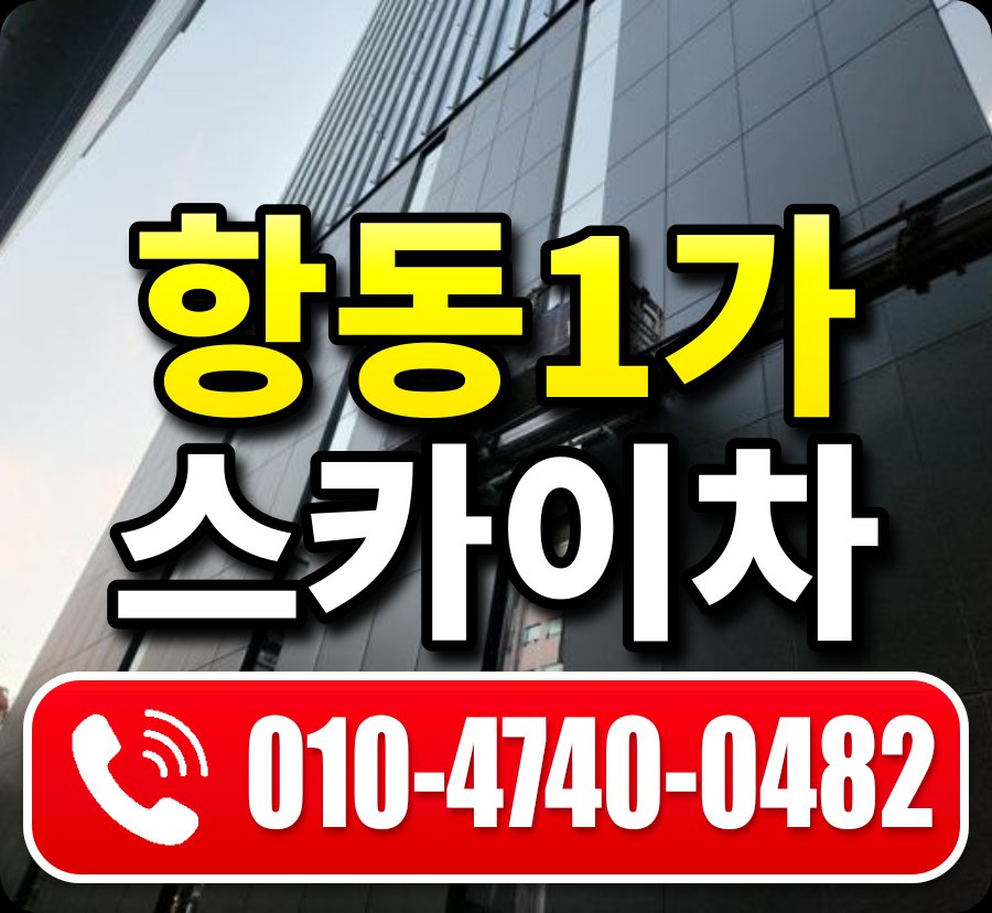 항동1가 스카이차 010-4740-0482