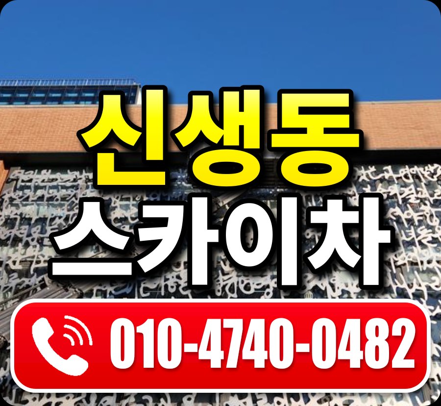 신생동 스카이차 010-4740-0482