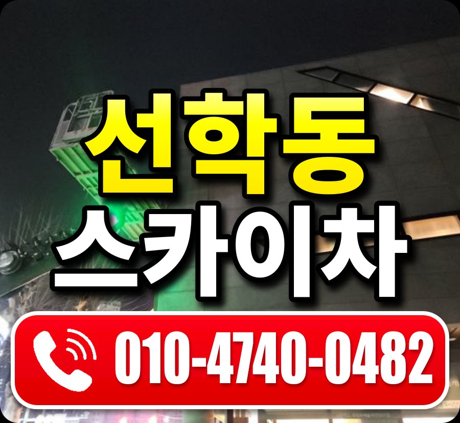 선학동 스카이차 010-4740-0482