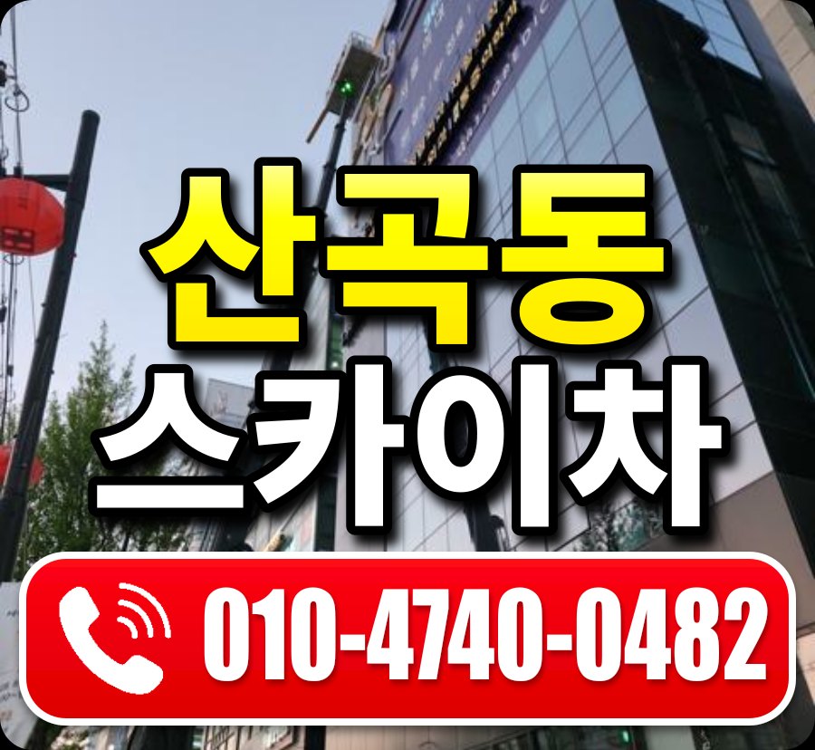 산곡동 스카이차 010-4740-0482