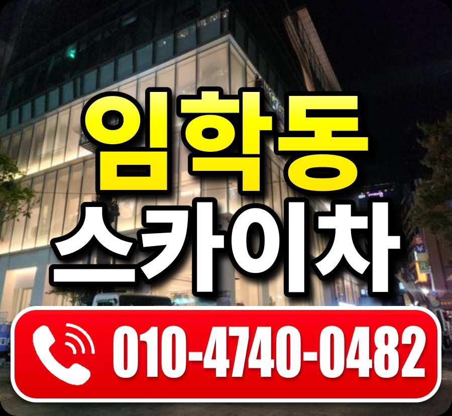 임학동 스카이차 010-4740-0482