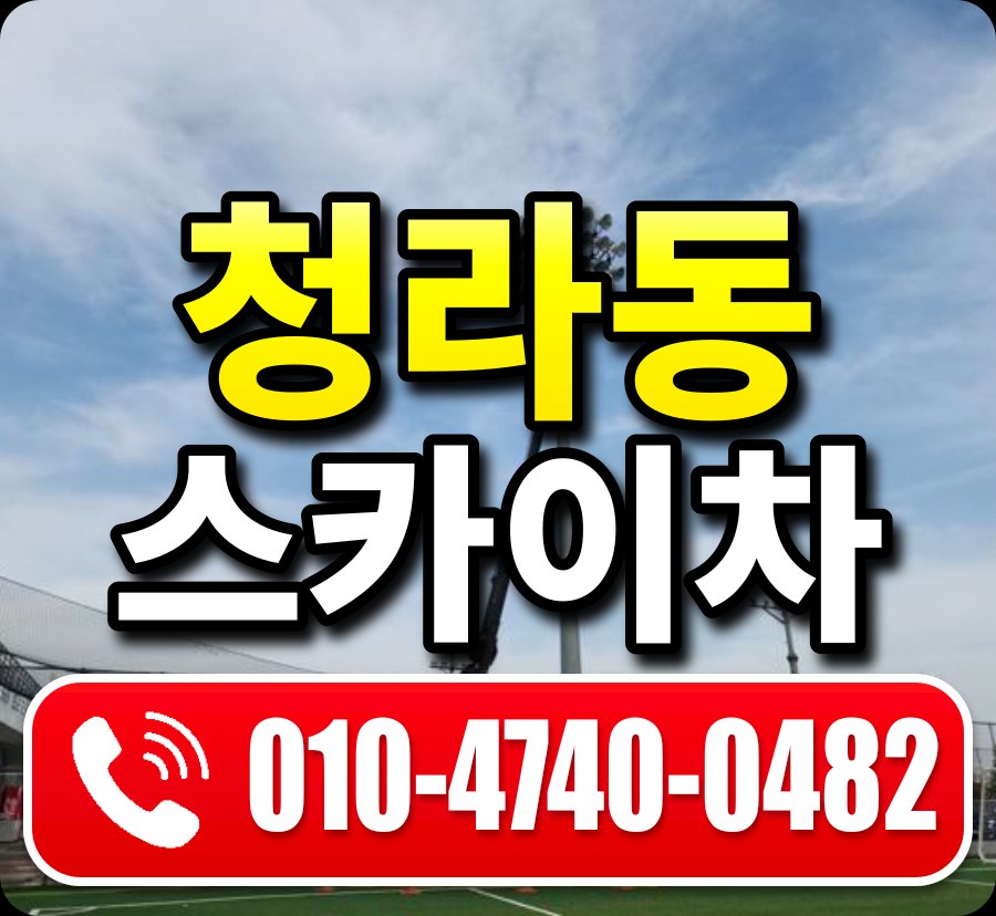 청라동 스카이차 010-4740-0482