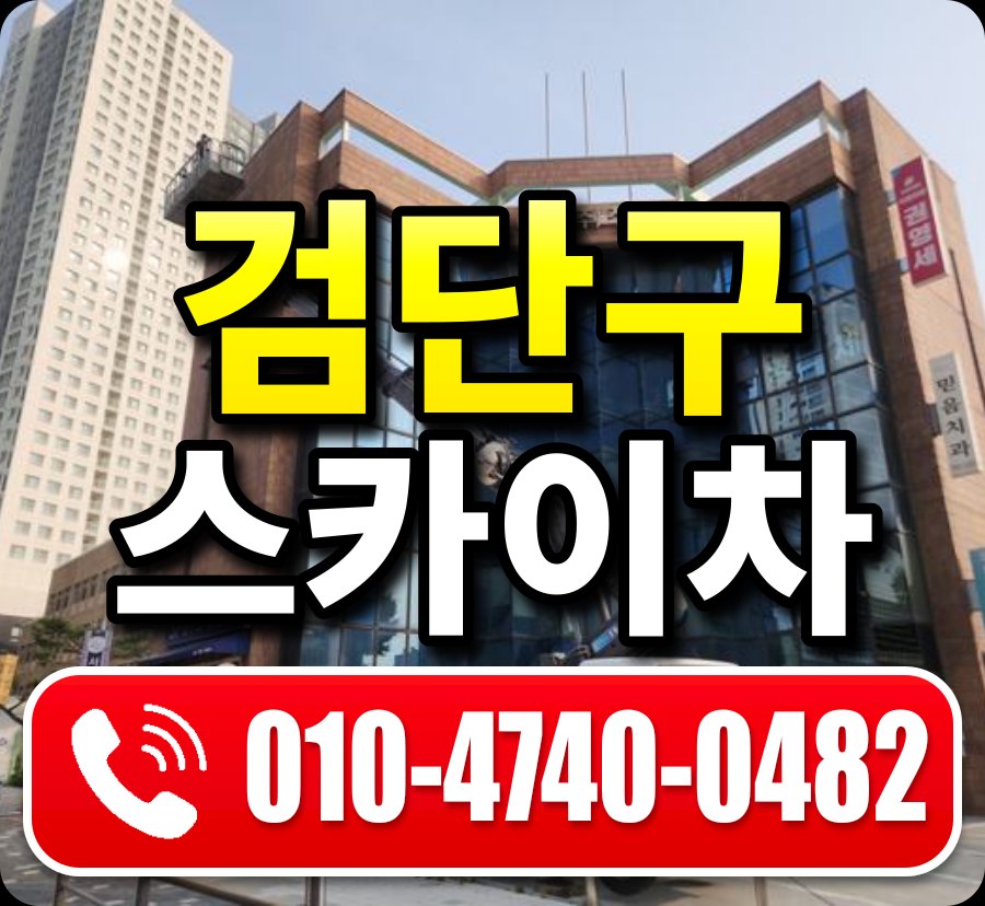 검단구 스카이차 010-4740-0482