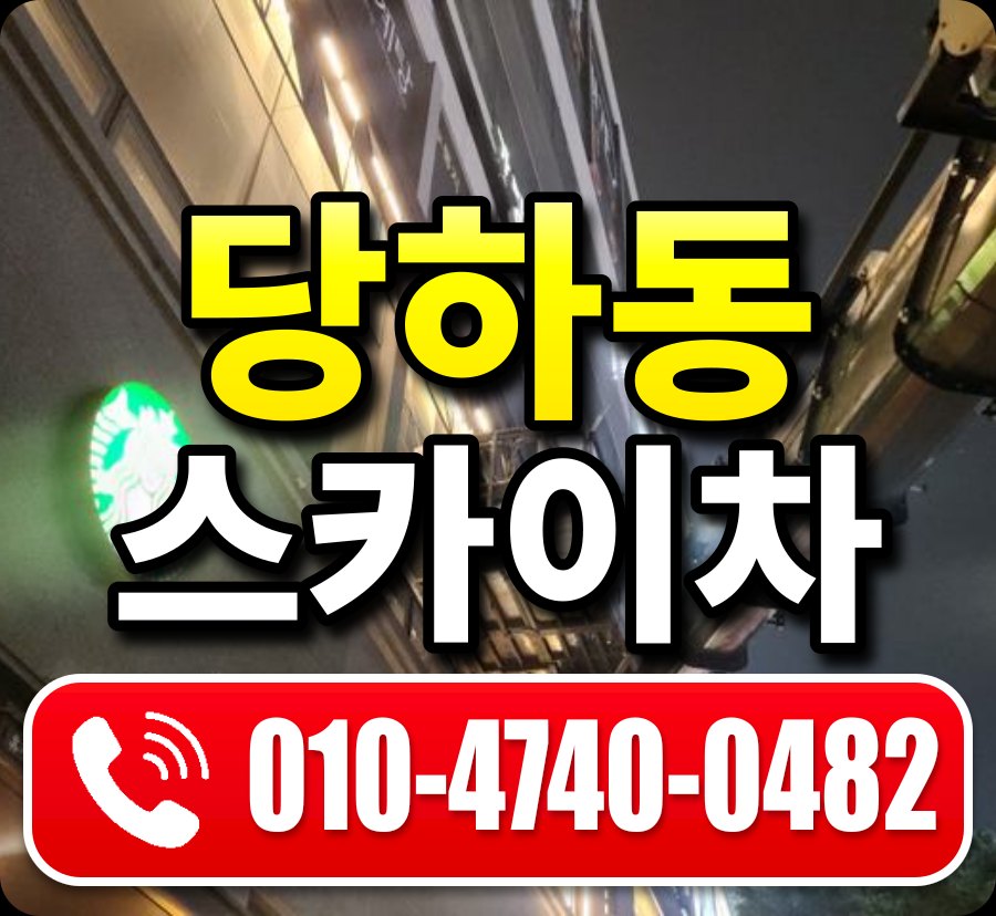 당하동 스카이차 010-4740-0482