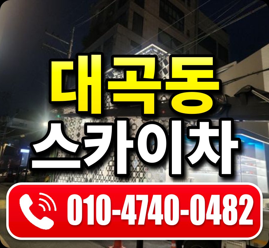 대곡동 스카이차 010-4740-0482