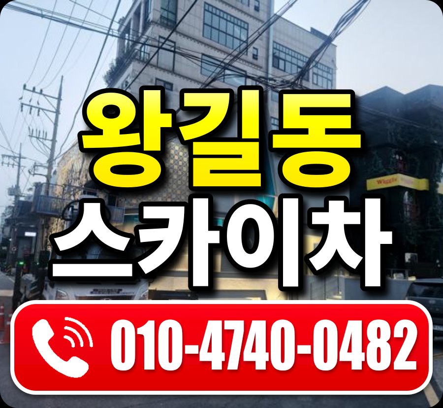 왕길동 스카이차 010-4740-0482