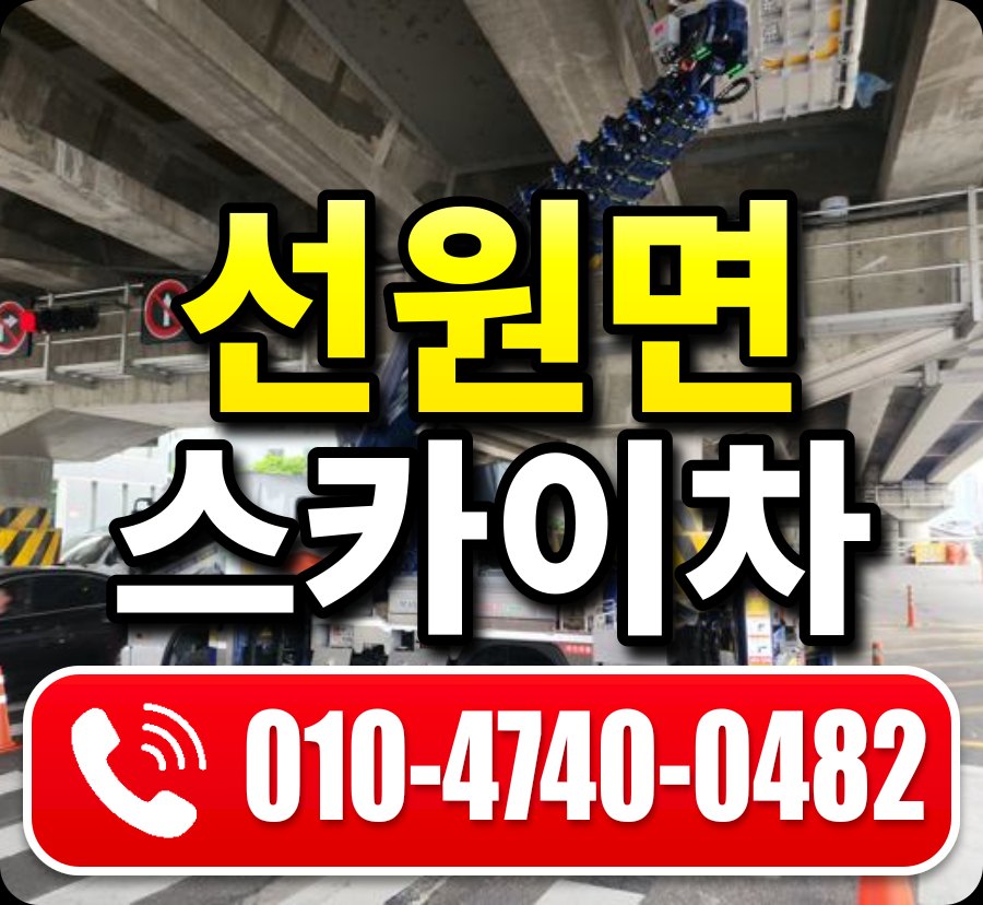 선원면 스카이차 010-4740-0482