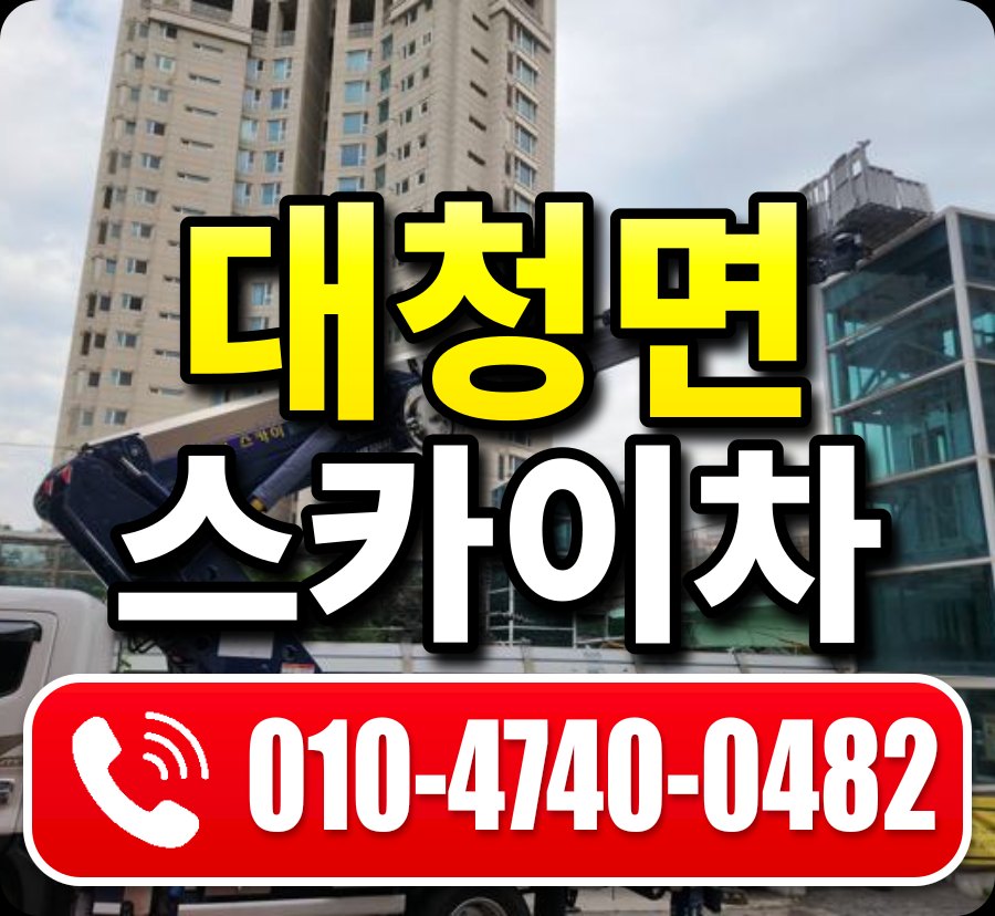 대청면 스카이차 010-4740-0482