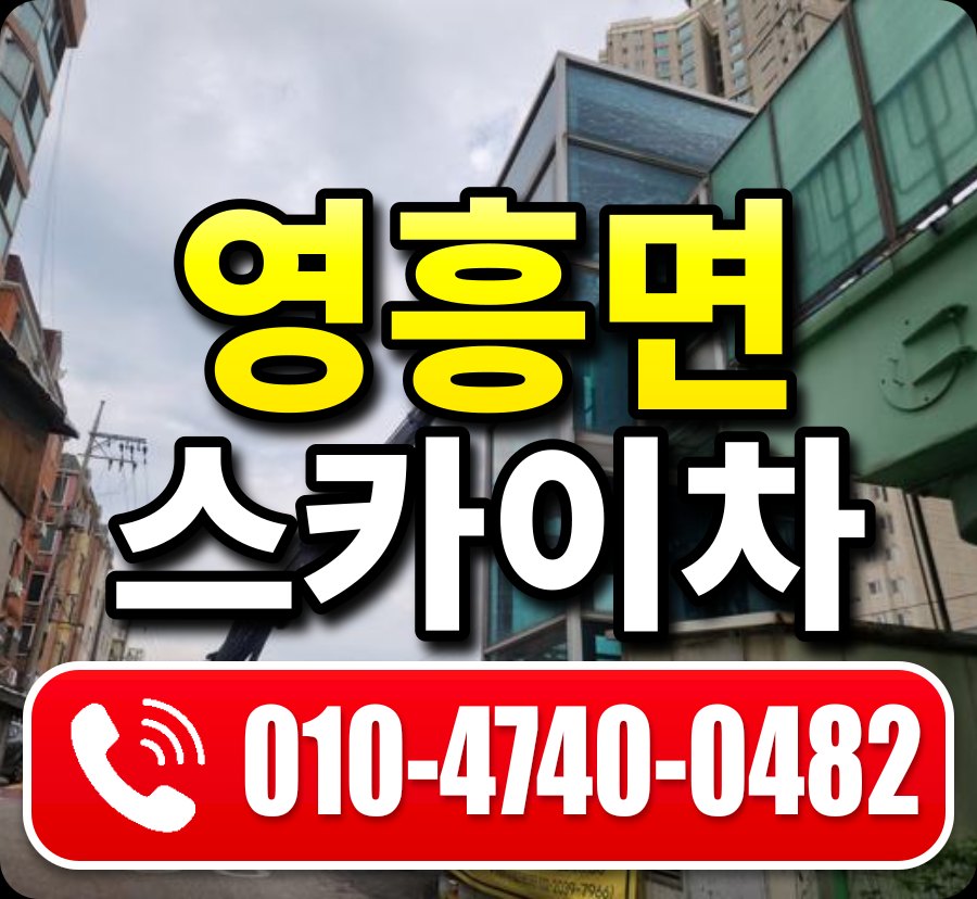 영흥면 스카이차 010-4740-0482