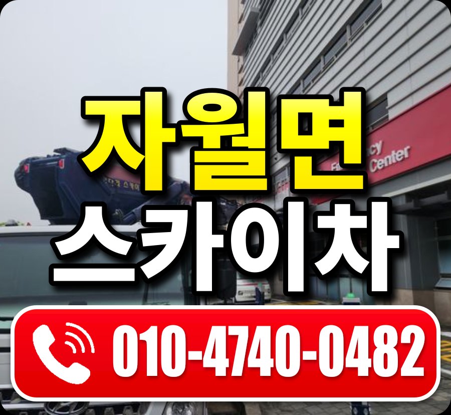 자월면 스카이차 010-4740-0482