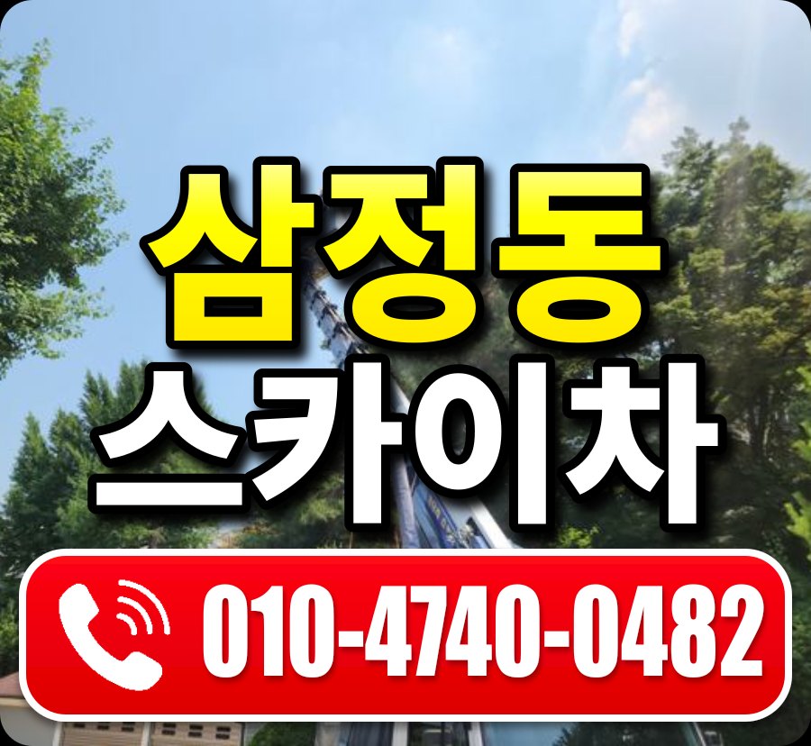 삼정동 스카이차 010-4740-0482