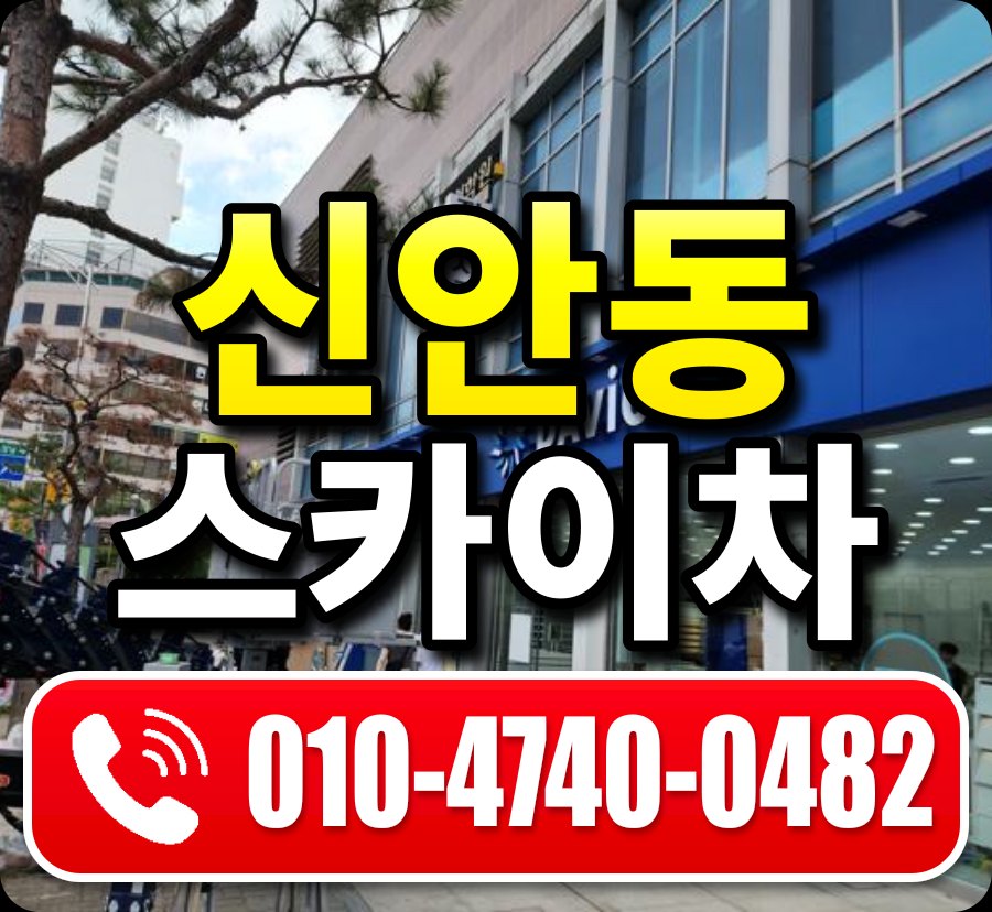 신안동 스카이차 010-4740-0482