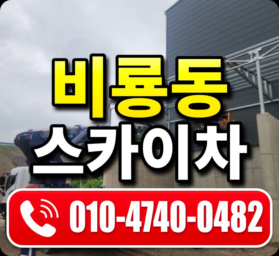 비룡동 스카이차 010-4740-0482