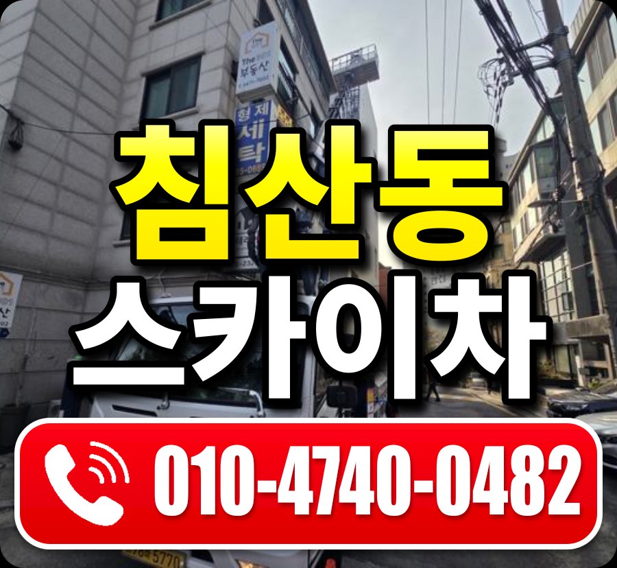침산동 스카이차 010-4740-0482