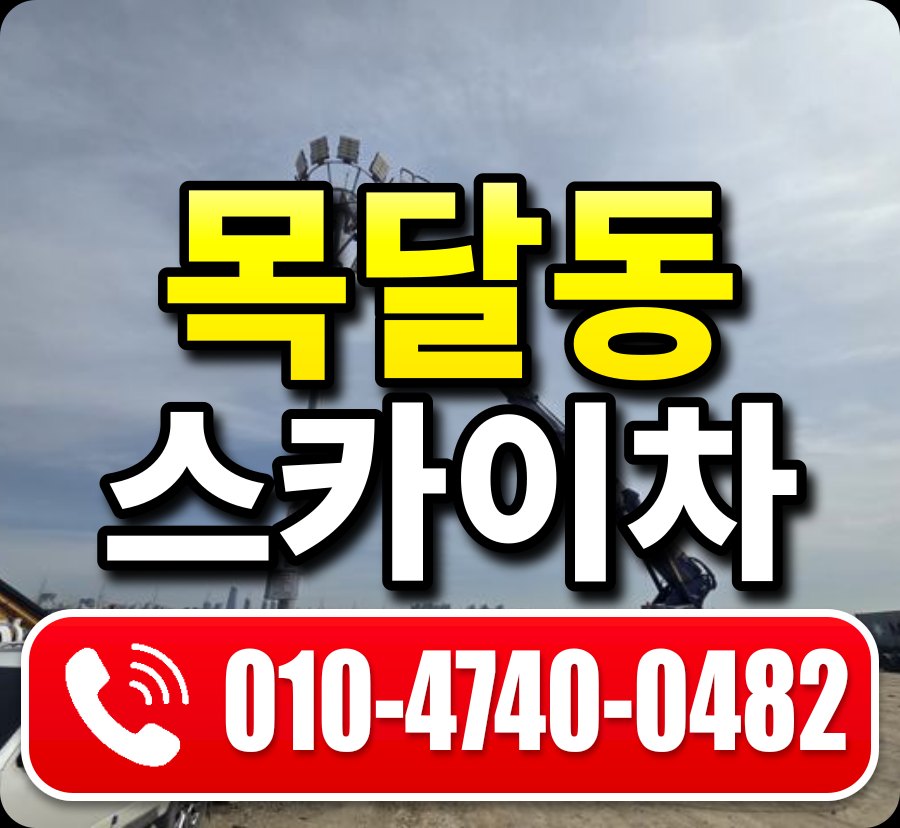 목달동 스카이차 010-4740-0482