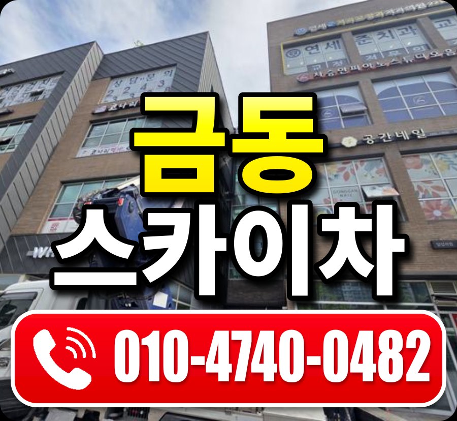 금동 스카이차 010-4740-0482