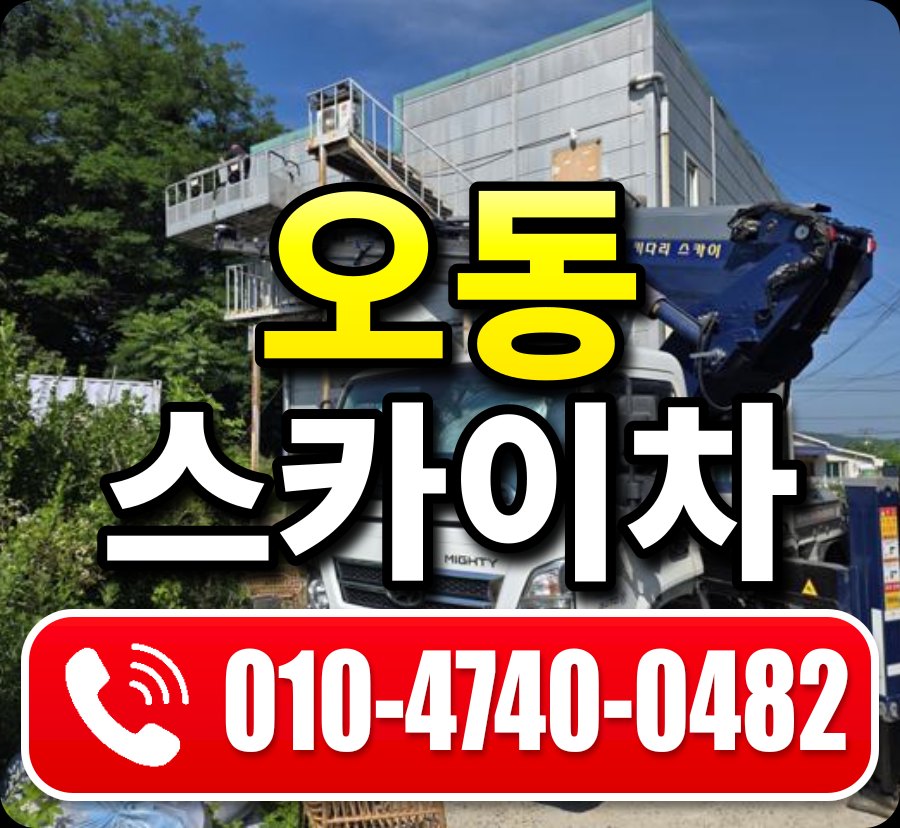 오동 스카이차 010-4740-0482
