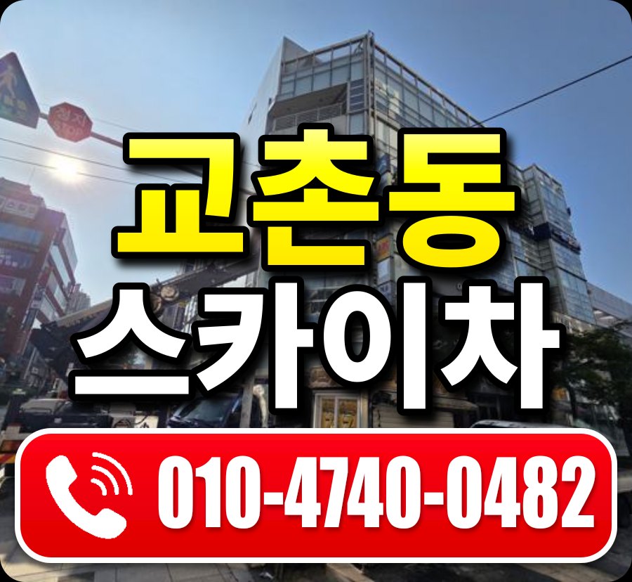 교촌동 스카이차 010-4740-0482