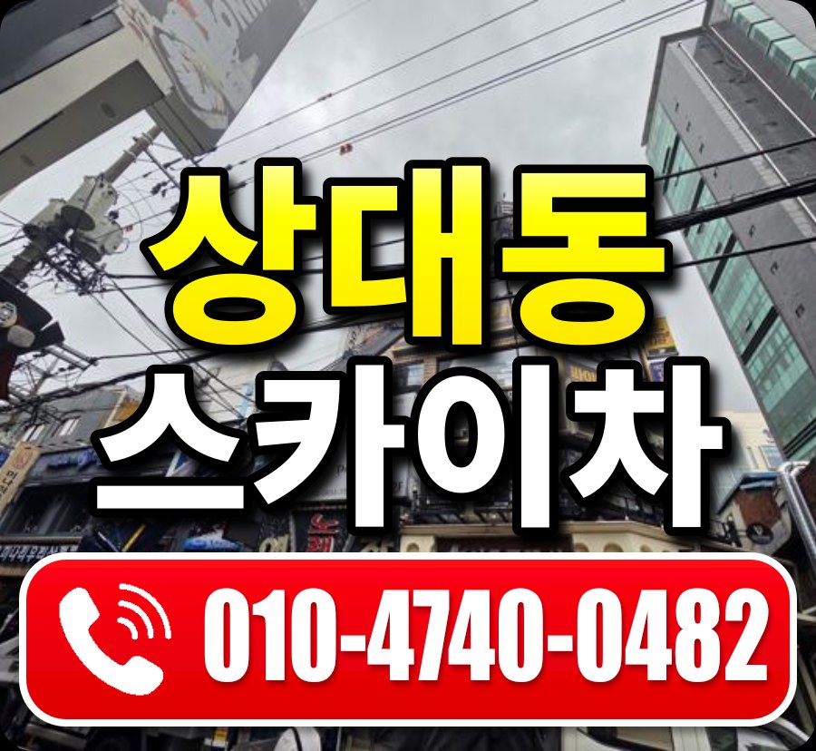 상대동 스카이차 010-4740-0482