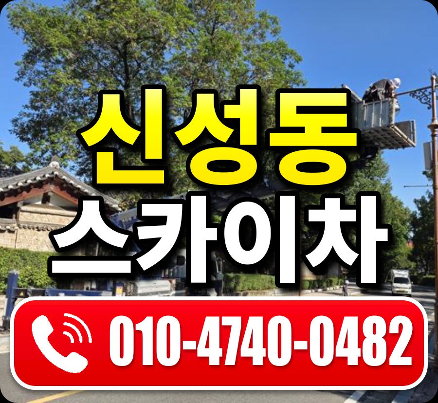 신성동 스카이차 010-4740-0482