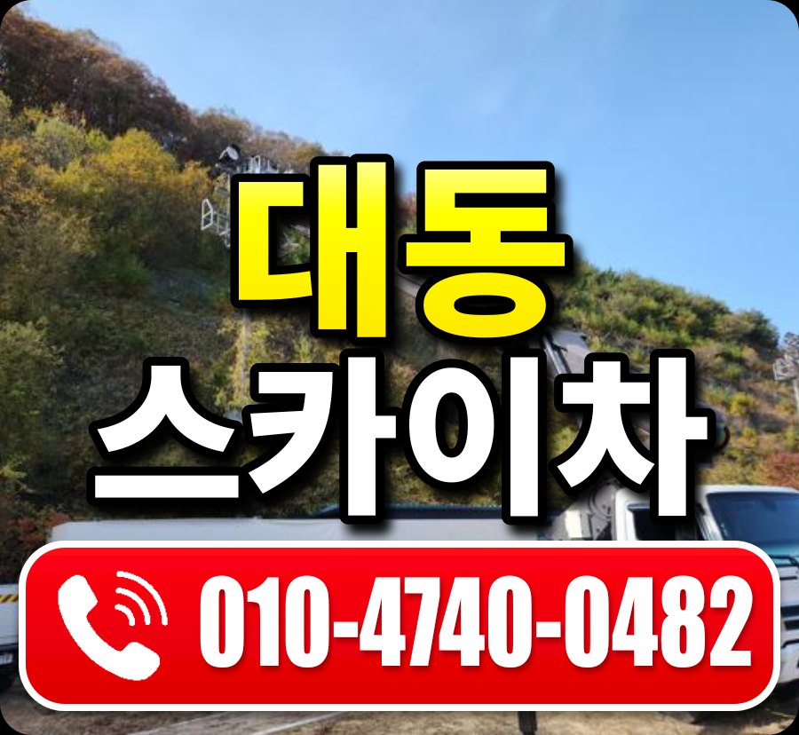 대동 스카이차 010-4740-0482