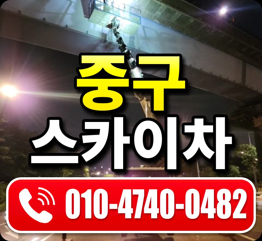 중구 스카이차 010-4740-0482