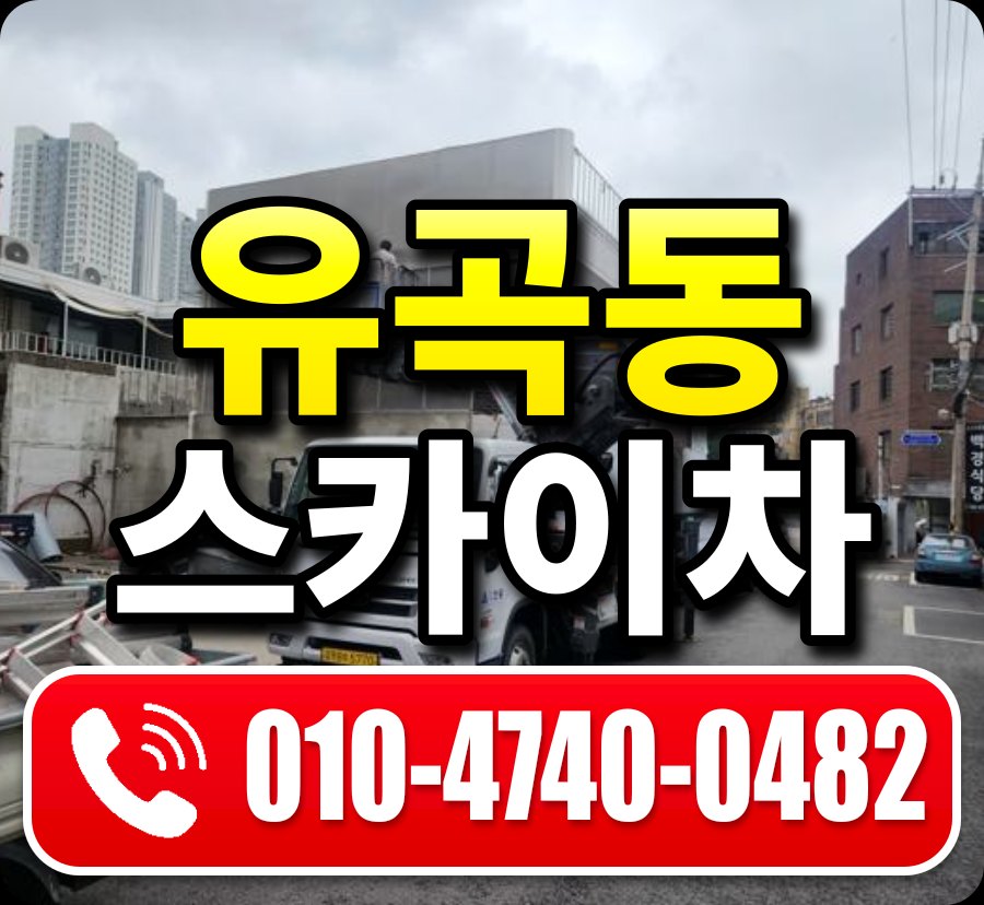 유곡동 스카이차 010-4740-0482