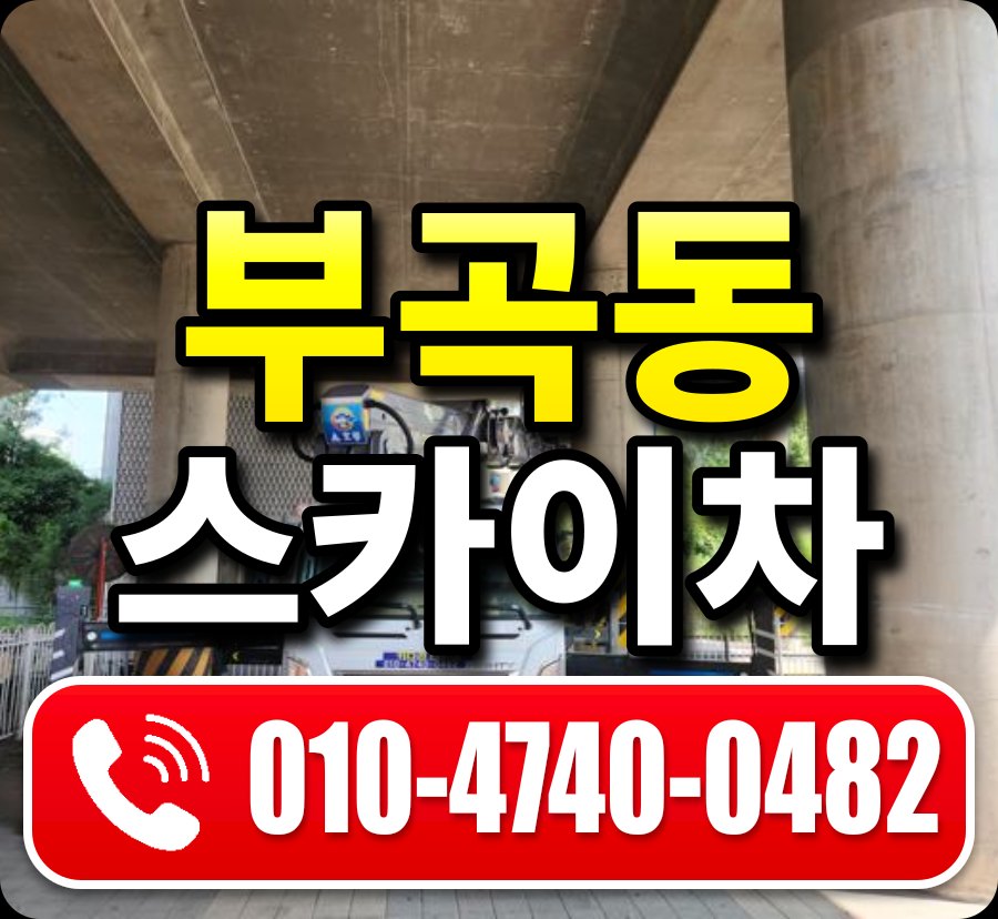 부곡동 스카이차 010-4740-0482