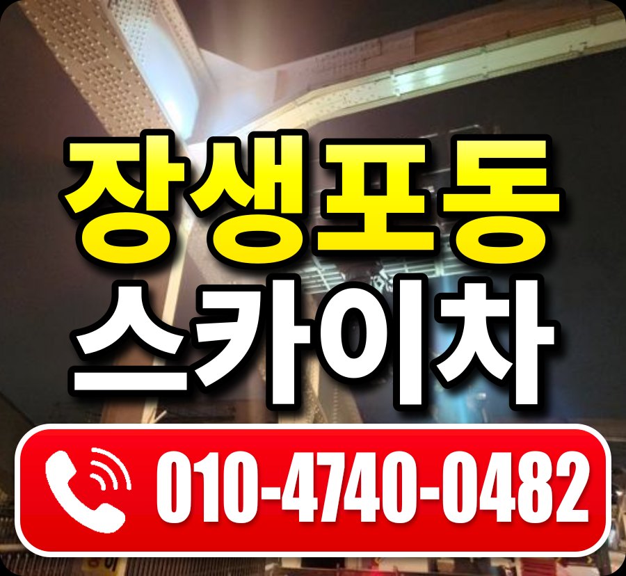 장생포동 스카이차 010-4740-0482