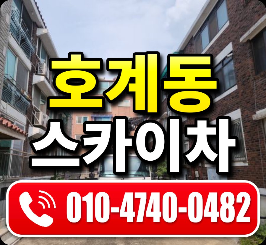 호계동 스카이차 010-4740-0482