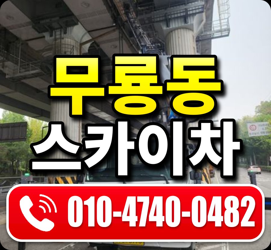 무룡동 스카이차 010-4740-0482